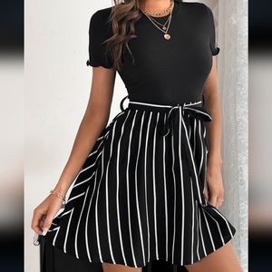 Striped Panel Belted A Line Dress NWT L